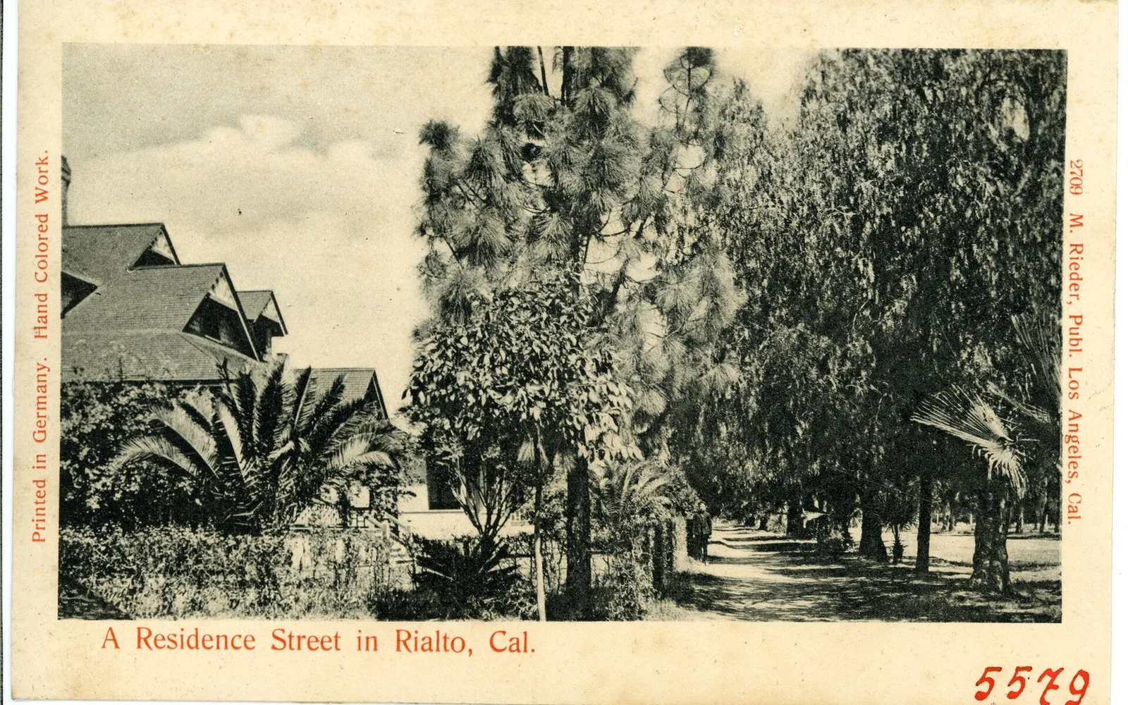 Historic postcard showing a residential street in Rialto in 1904.